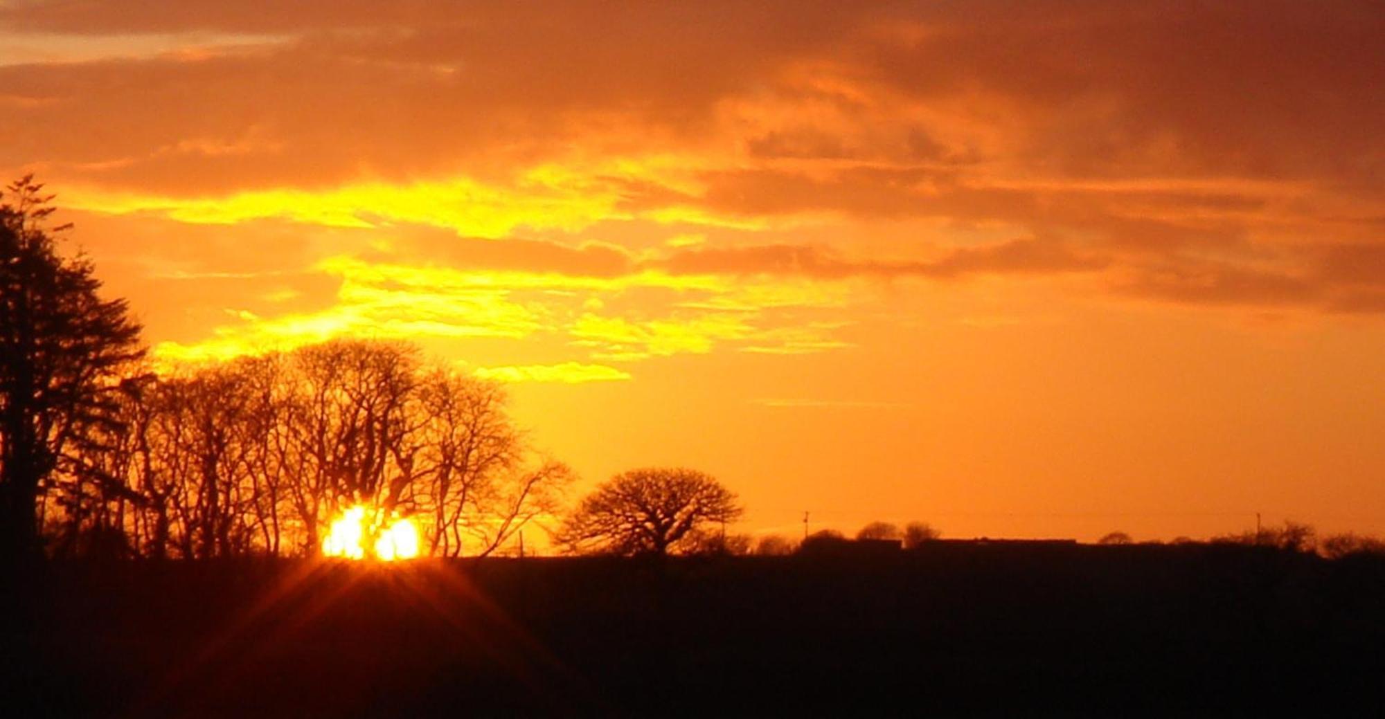 The Paddock Bed and Breakfast Haverfordwest Esterno foto